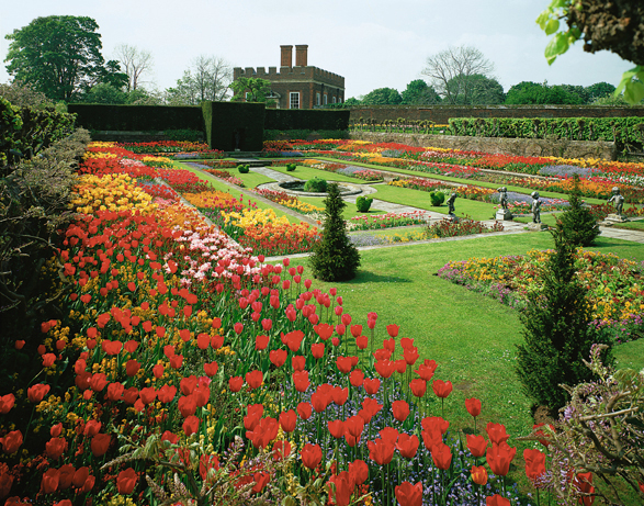 Ab März öffnene sich zaghaft ide ersten Blüten in Hampton Court. Foto: Karin Weise