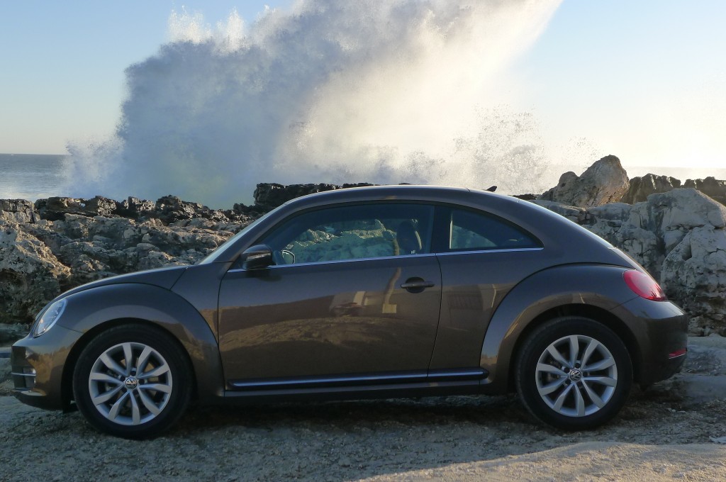 Beetle Algarve